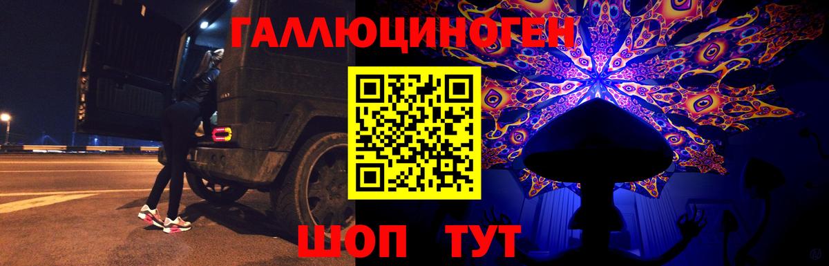Большой Камень  Псилоцибиновые грибы ЛСД  Вход с VPN 